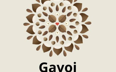 COMUNICAZIONE “Partecipazione Cortes Apertas a Gavoi”